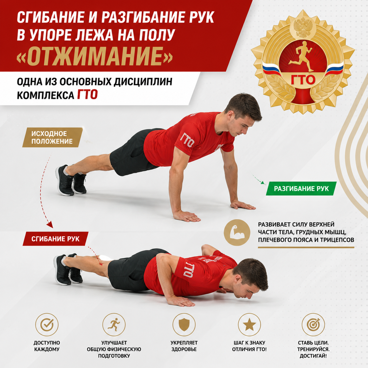 Сгибание и разгибание рук в упоре лежа на полу «отжимание»