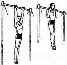 Норматив ВФСК ГТО-подтягивание из виса на высокой перекладине