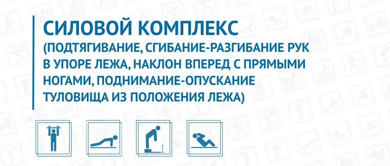 Силовой комплекс ГТО
