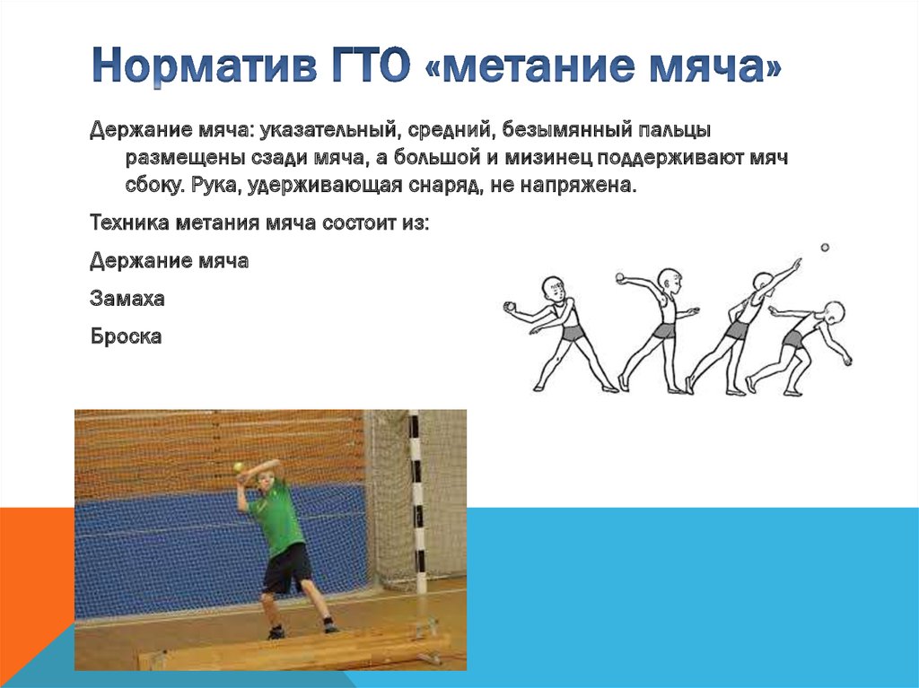 Как правильно выполнять нормативы ВФСК «ГТО»?: метание спортивного снаряда